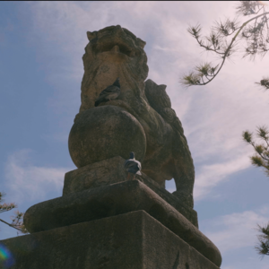 takato152 CINEMATIC LUT V-log L