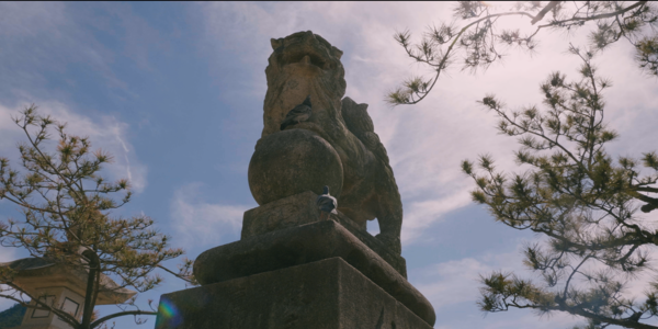 takato152 CINEMATIC LUT V-log L